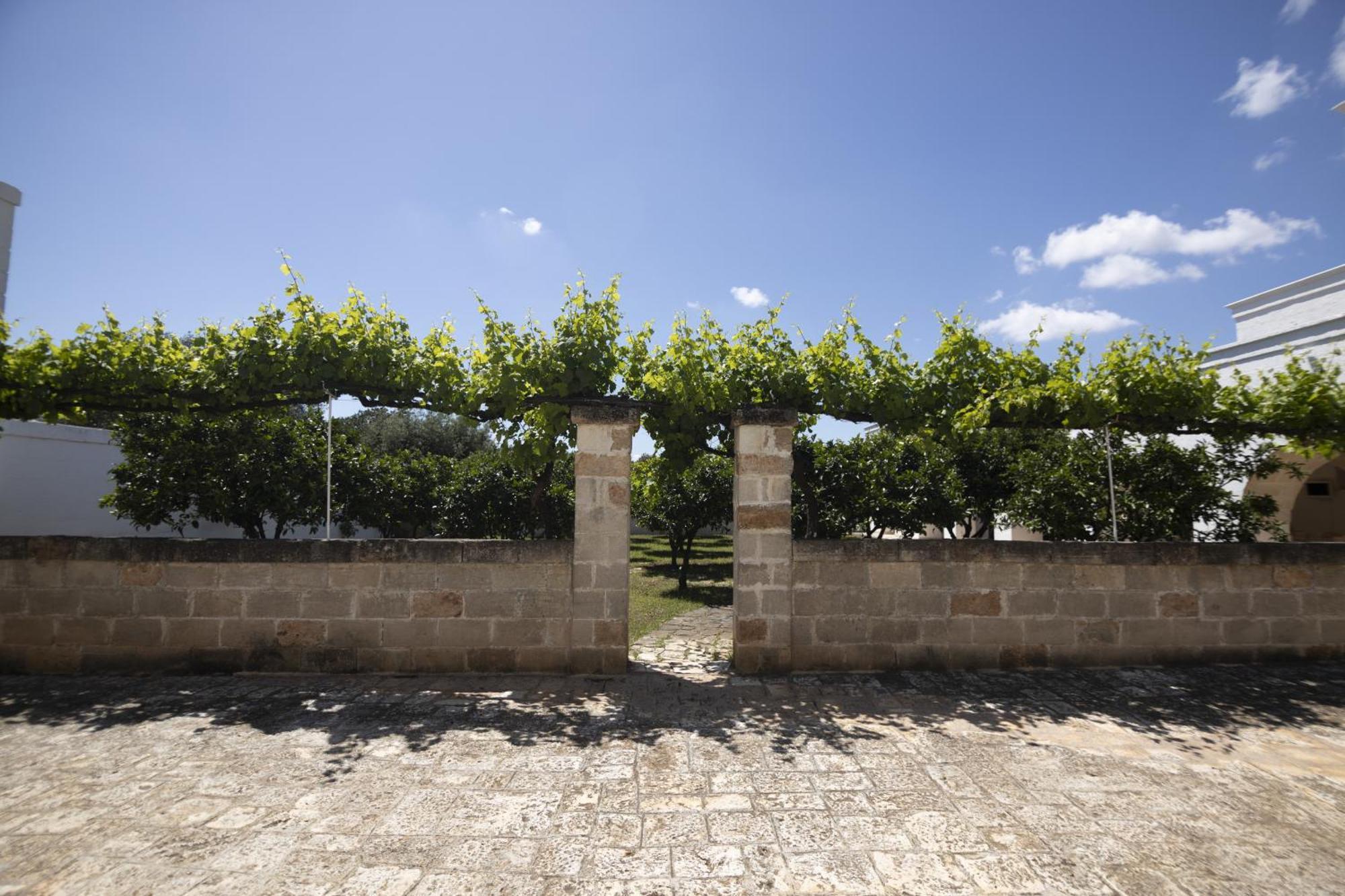 Masseria Palmo Francavilla Fontana Exteriér fotografie