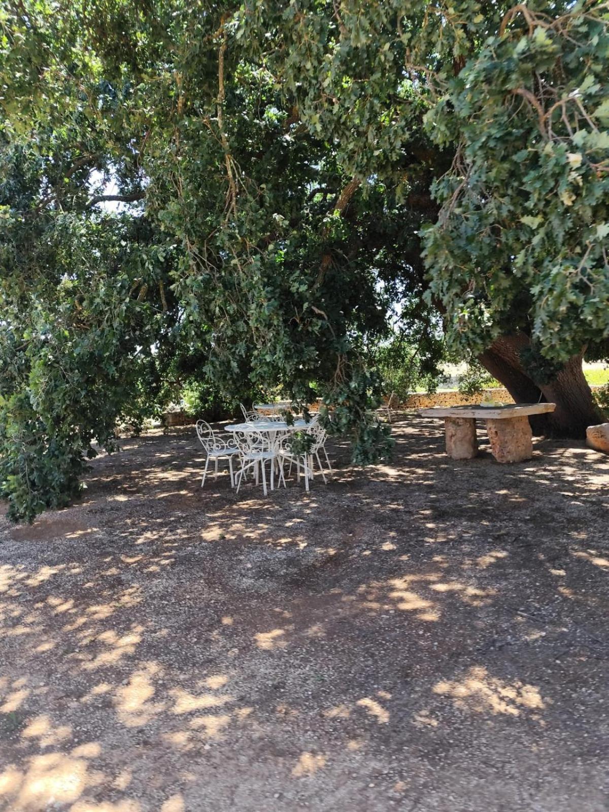 Masseria Palmo Francavilla Fontana Exteriér fotografie